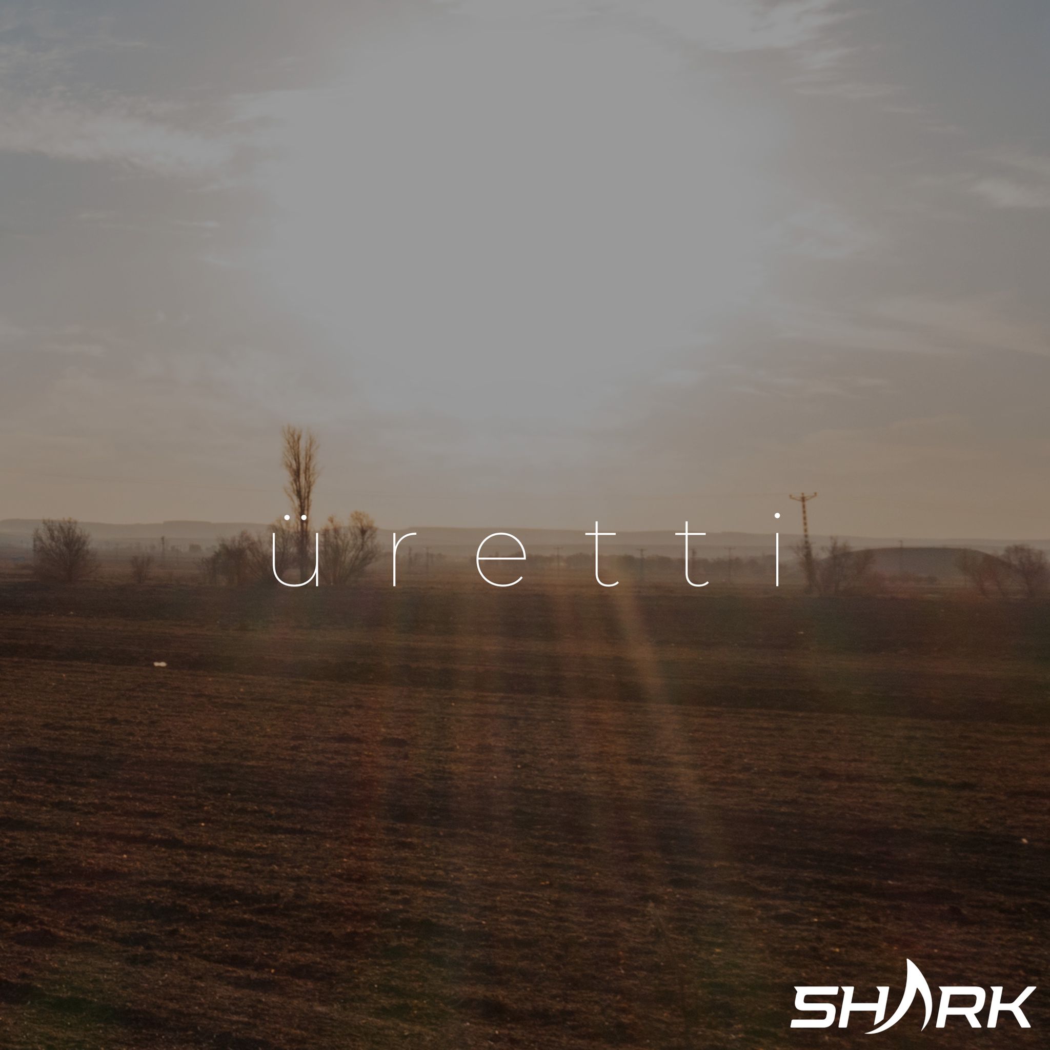 Anasayfa Shark Aviation lazy